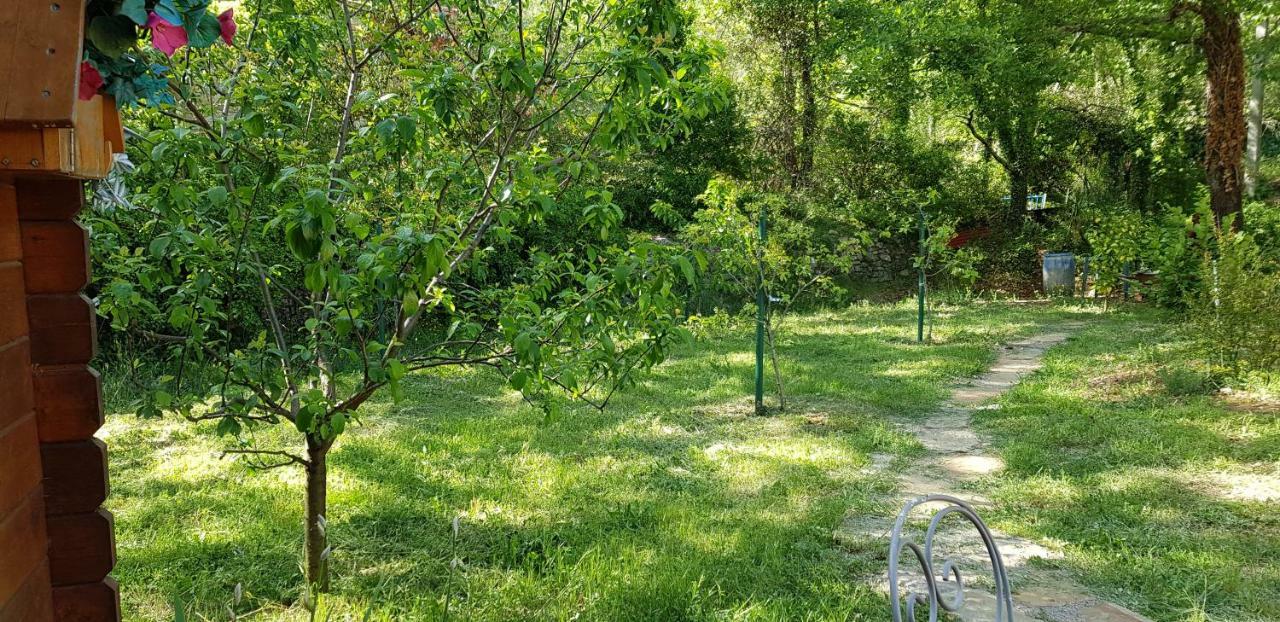 Villa Eden Vert ファイエンス エクステリア 写真